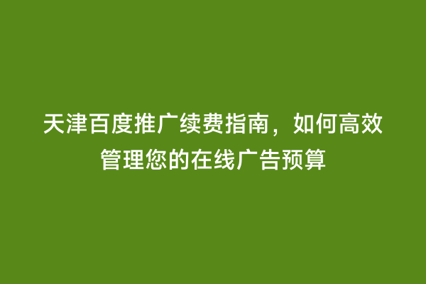 天津百度推广续费指南，如何高效管理您的在线广告预算