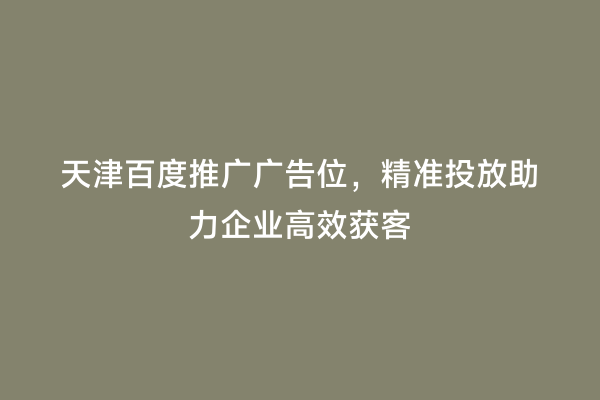 天津百度推广广告位，精准投放助力企业高效获客