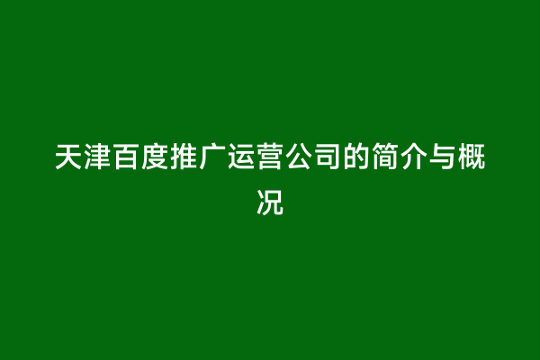 天津百度推广运营公司的简介与概况