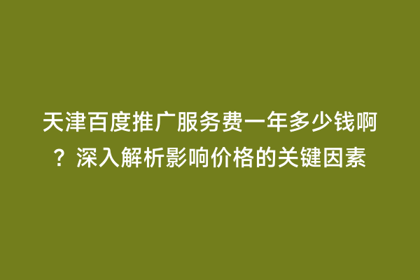 天津百度推广服务费一年多少钱啊？深入解析影响价格的关键因素