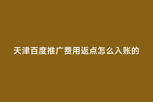 天津百度推广费用返点怎么入账的
