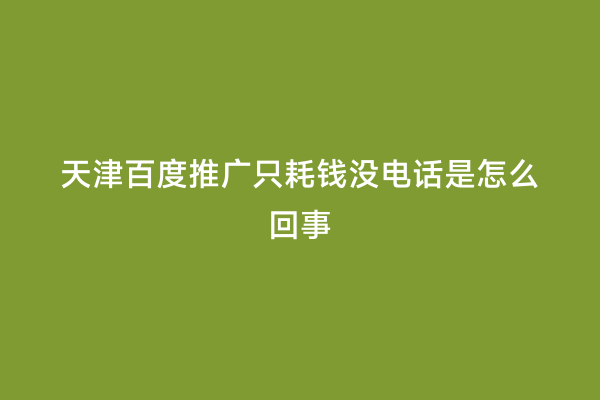 天津百度推广只耗钱没电话是怎么回事