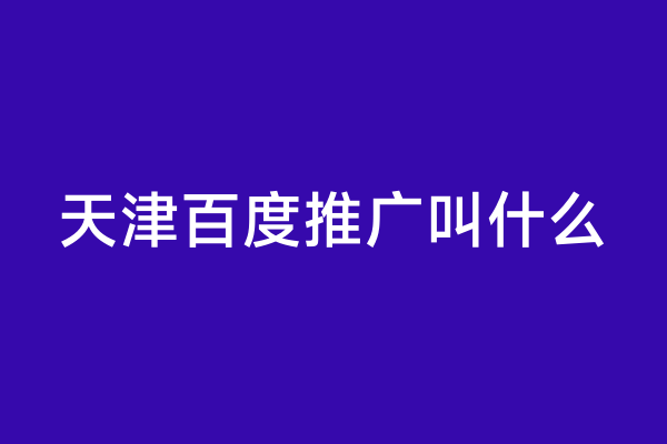 天津百度推广叫什么