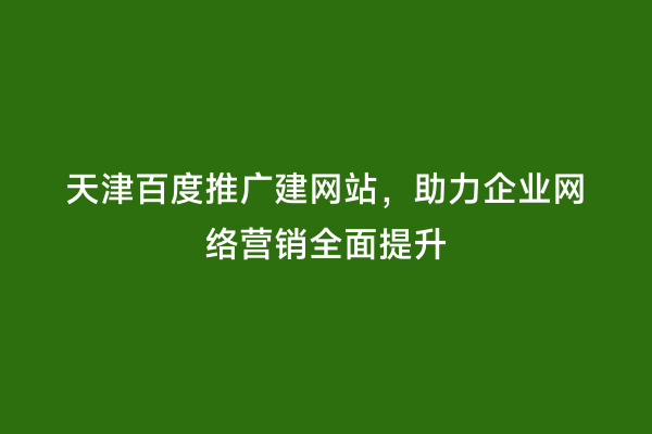 天津百度推广建网站，助力企业网络营销全面提升