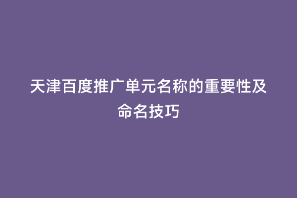 天津百度推广单元名称的重要性及命名技巧