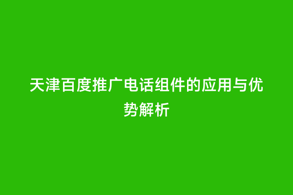 天津百度推广电话组件的应用与优势解析