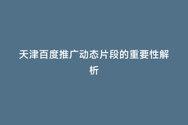 天津百度推广动态片段的重要性解析