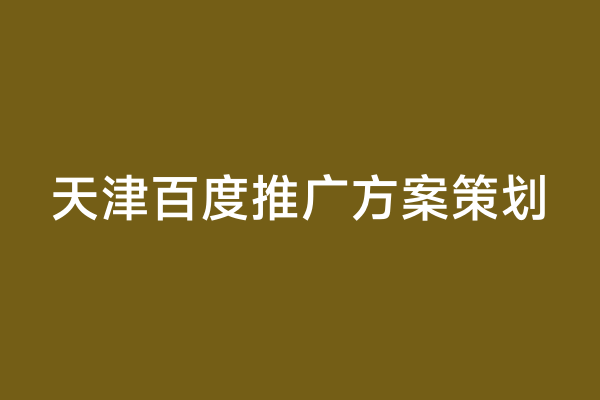 天津百度推广方案策划