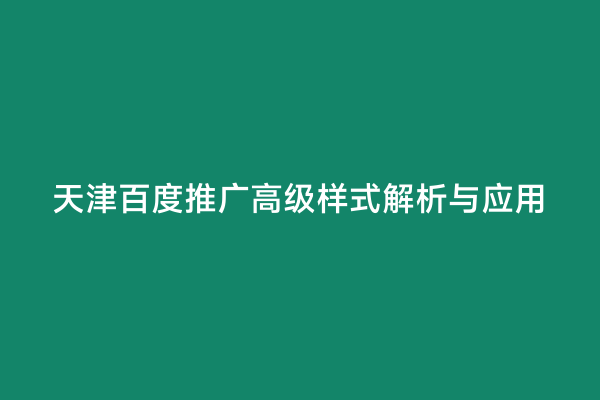 天津百度推广高级样式解析与应用