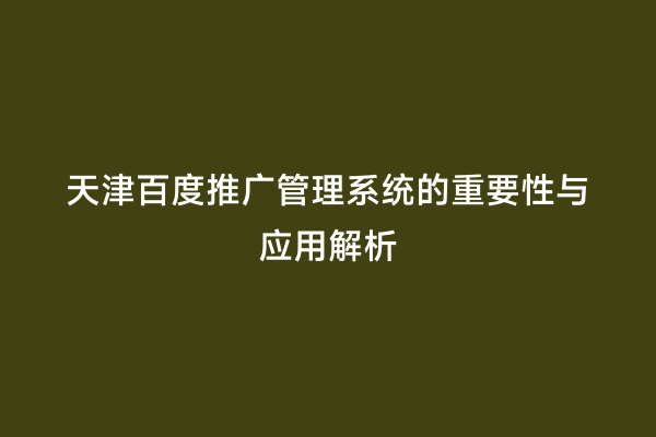 天津百度推广管理系统的重要性与应用解析