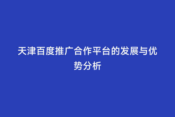 天津百度推广合作平台的发展与优势分析