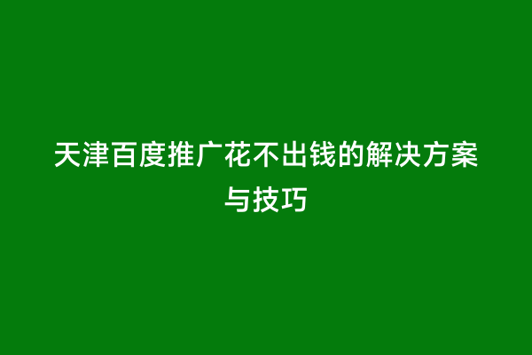 天津百度推广花不出钱的解决方案与技巧