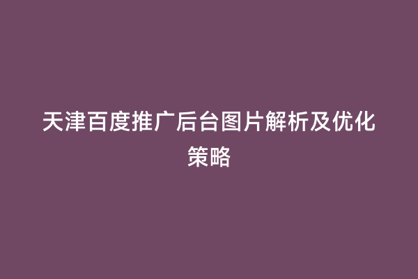 天津百度推广后台图片解析及优化策略