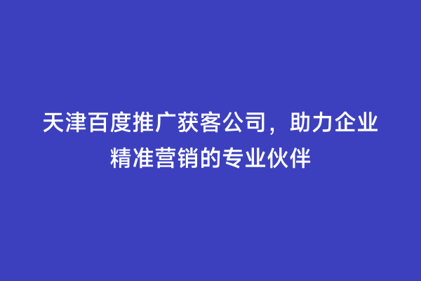 天津百度推广获客公司，助力企业精准营销的专业伙伴