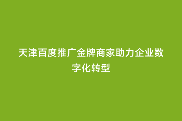 天津百度推广金牌商家助力企业数字化转型