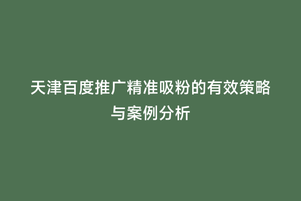 天津百度推广精准吸粉的有效策略与案例分析