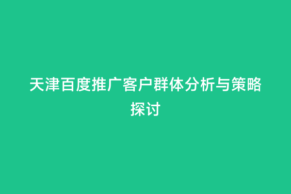 天津百度推广客户群体分析与策略探讨