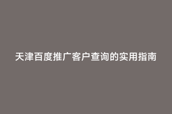 天津百度推广客户查询的实用指南
