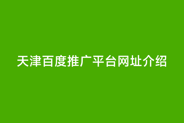 天津百度推广平台网址介绍