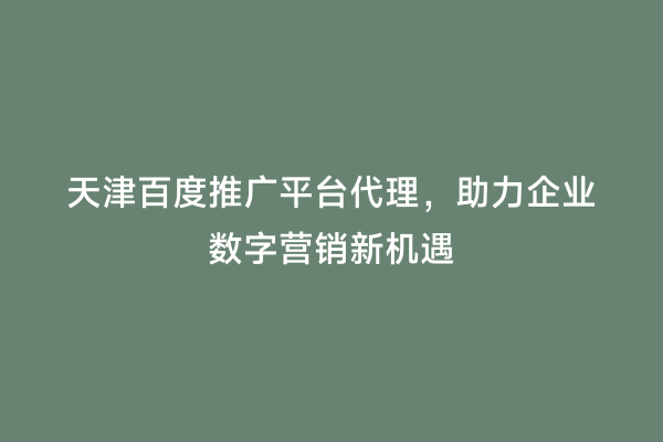 天津百度推广平台代理，助力企业数字营销新机遇