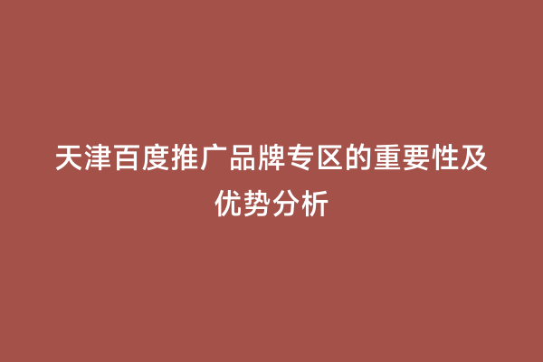 天津百度推广品牌专区的重要性及优势分析