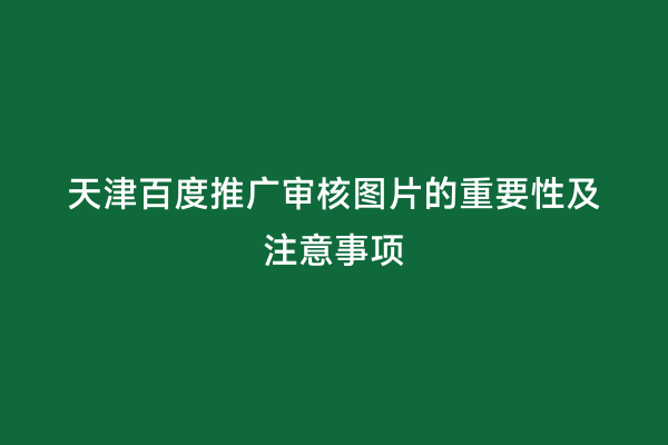 天津百度推广审核图片的重要性及注意事项