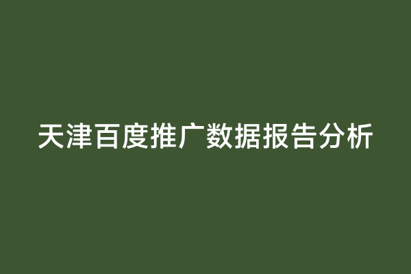 天津百度推广数据报告分析