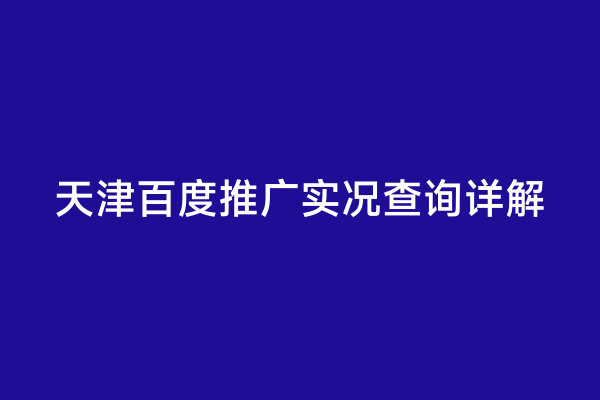 天津百度推广实况查询详解