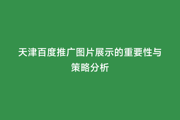 天津百度推广图片展示的重要性与策略分析