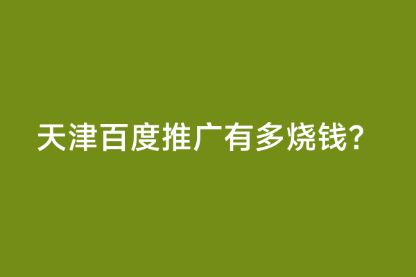 天津百度推广有多烧钱？