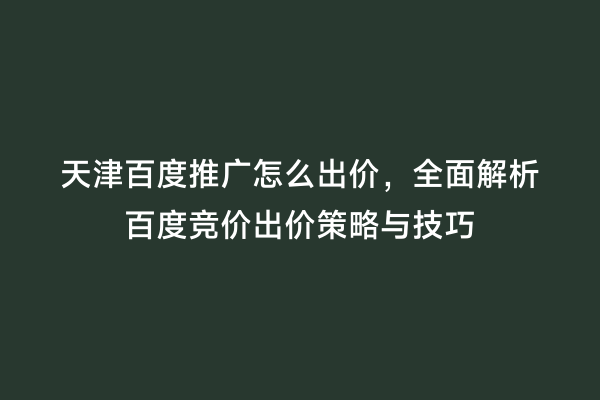 天津百度推广怎么出价，全面解析百度竞价出价策略与技巧