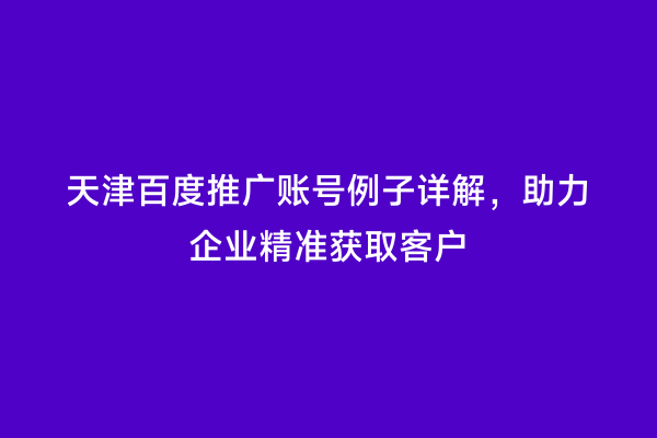 天津百度推广账号例子详解，助力企业精准获取客户