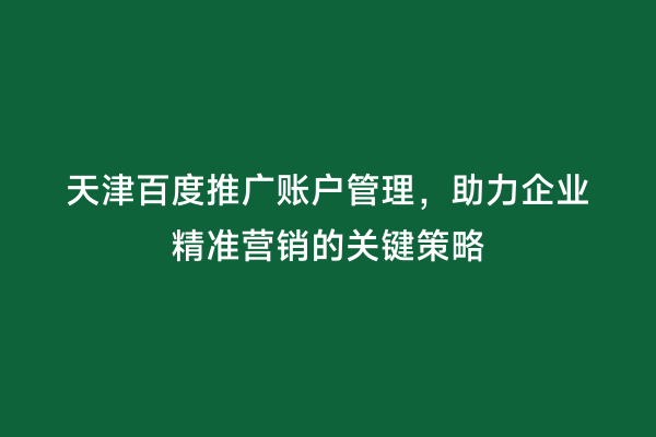 天津百度推广账户管理，助力企业精准营销的关键策略