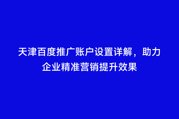 天津百度推广账户设置详解，助力企业精准营销提升效果