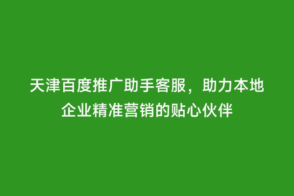 天津百度推广助手客服，助力本地企业精准营销的贴心伙伴