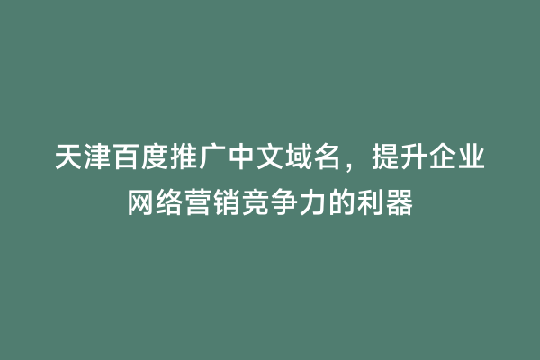 天津百度推广中文域名，提升企业网络营销竞争力的利器