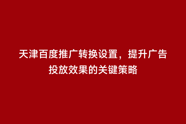 天津百度推广转换设置，提升广告投放效果的关键策略