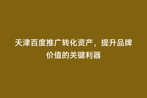 天津百度推广转化资产，提升品牌价值的关键利器