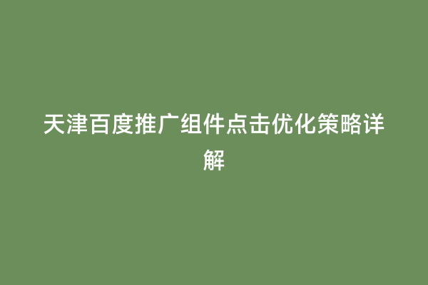 天津百度推广组件点击优化策略详解