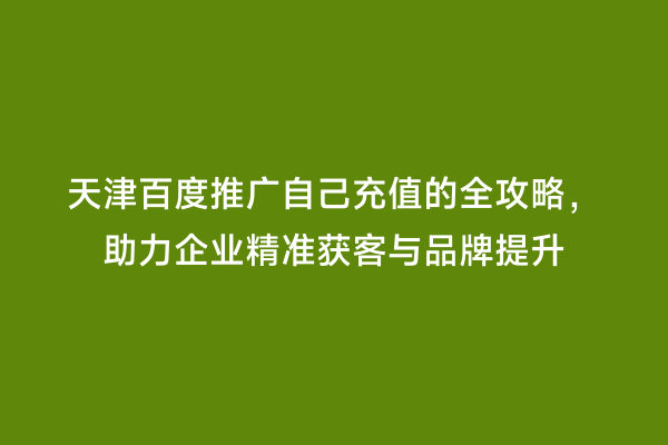 天津百度推广自己充值的全攻略，助力企业精准获客与品牌提升
