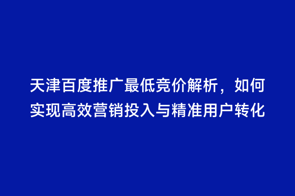 天津百度推广最低竞价解析，如何实现高效营销投入与精准用户转化