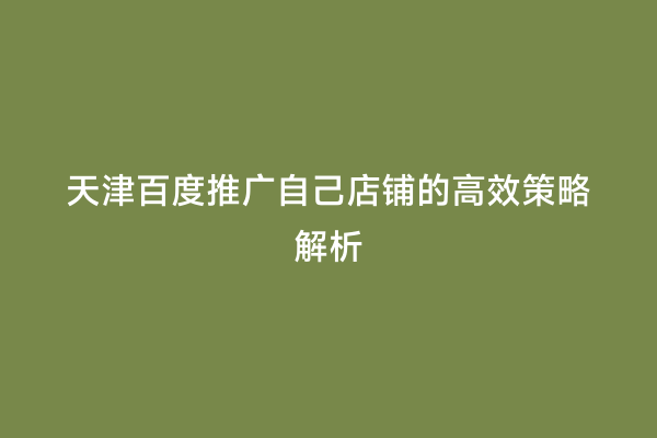 天津百度推广自己店铺的高效策略解析
