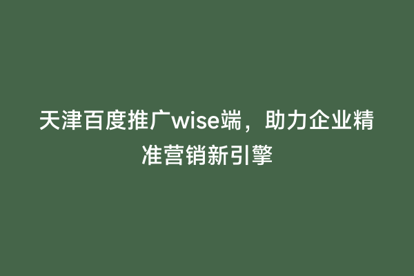 天津百度推广wise端，助力企业精准营销新引擎