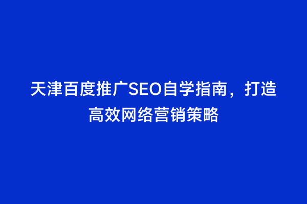 天津百度推广SEO自学指南，打造高效网络营销策略