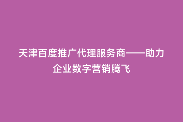 天津百度推广代理服务商——助力企业数字营销腾飞