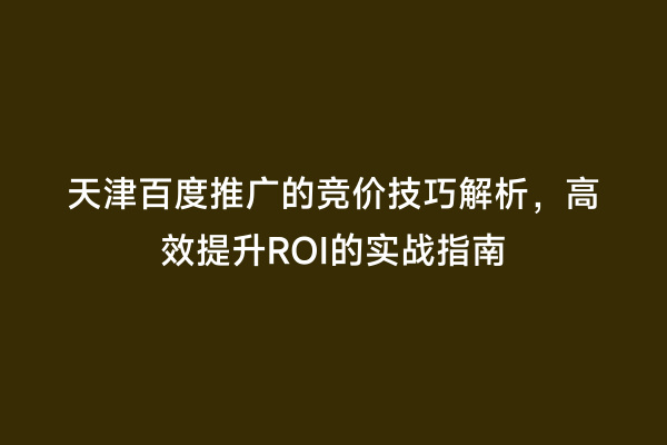 天津百度推广的竞价技巧解析，高效提升ROI的实战指南