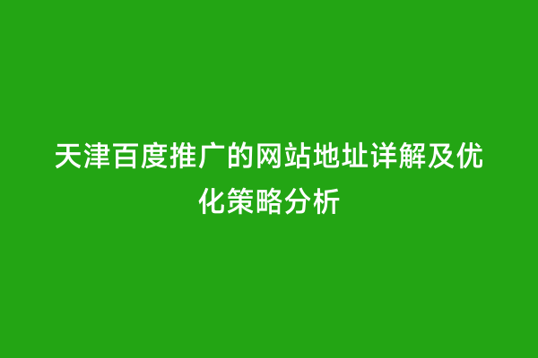 天津百度推广的网站地址详解及优化策略分析