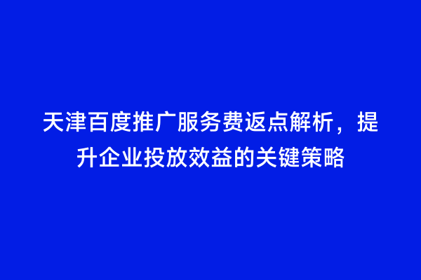 天津百度推广服务费返点解析，提升企业投放效益的关键策略