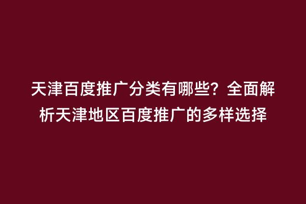 天津百度推广分类有哪些？全面解析天津地区百度推广的多样选择
