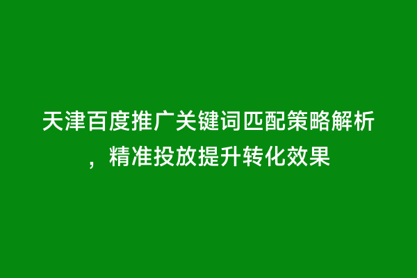 天津百度推广关键词匹配策略解析，精准投放提升转化效果
